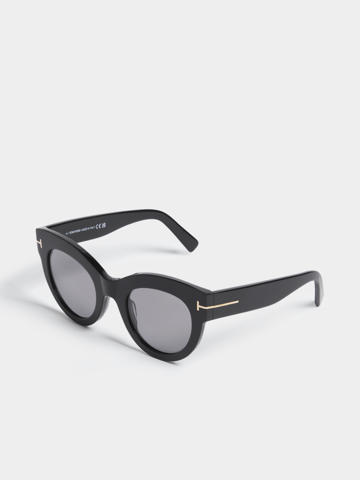 Tom Ford Ladies Icon Sunglasses In Black