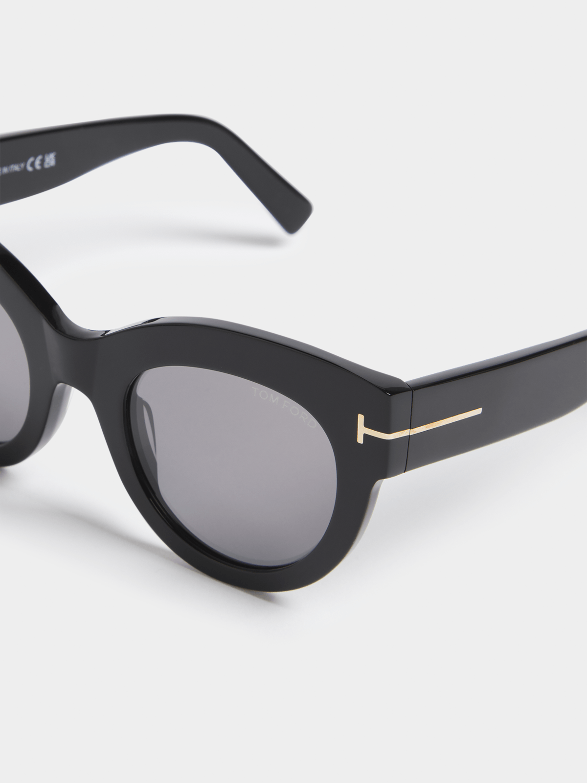 Tom Ford Ladies Icon Sunglasses In Black