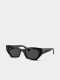 Ray-Ban Zena Womens Sunglasses In Black