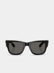 Ray-Ban Womens Oculos Solar Sunglasses In Black