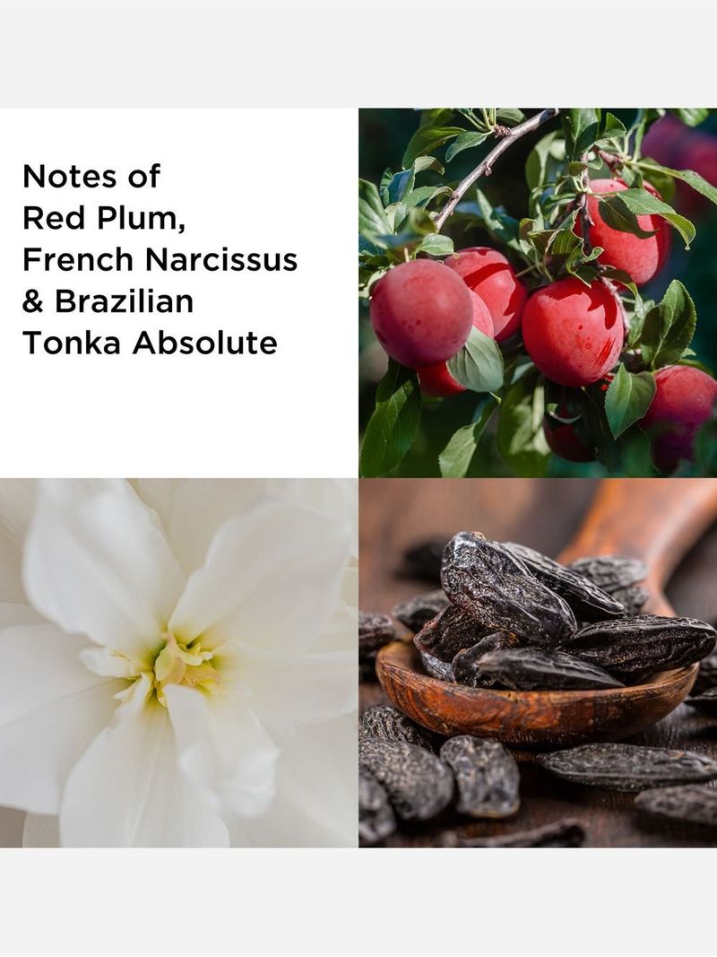 Elizabeth Arden Untold Edp