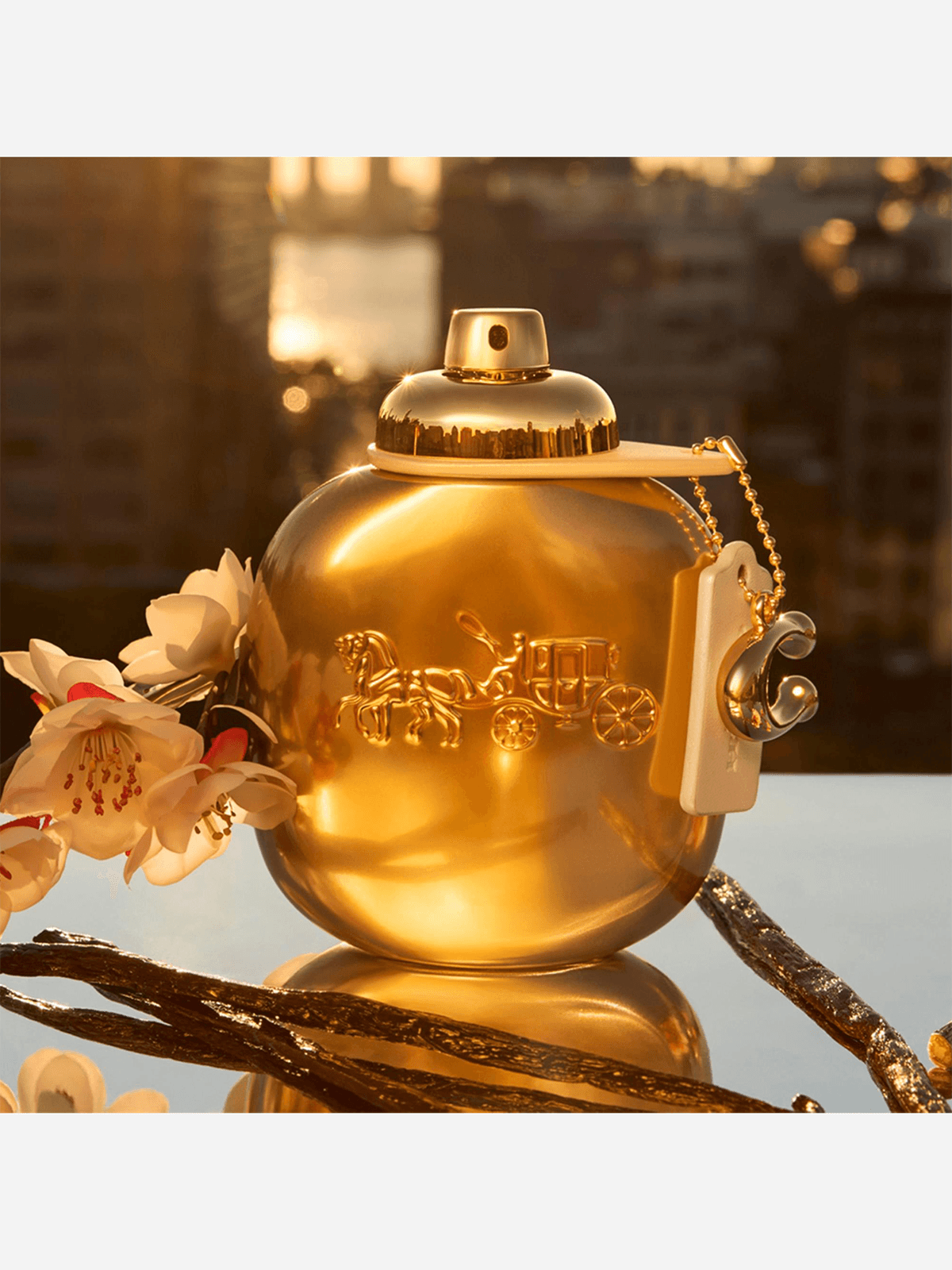 Coach Gold Parfum Womens