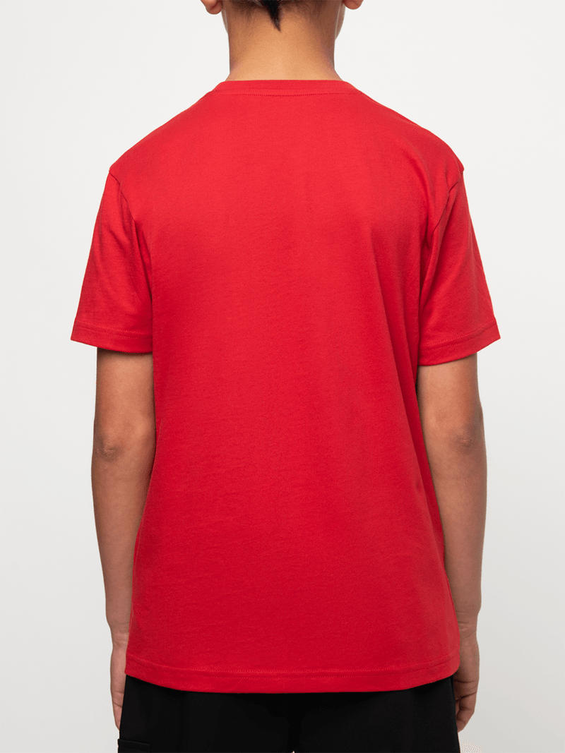 Polo Boys Logan Crested Short Sleeve T-shirt In Red