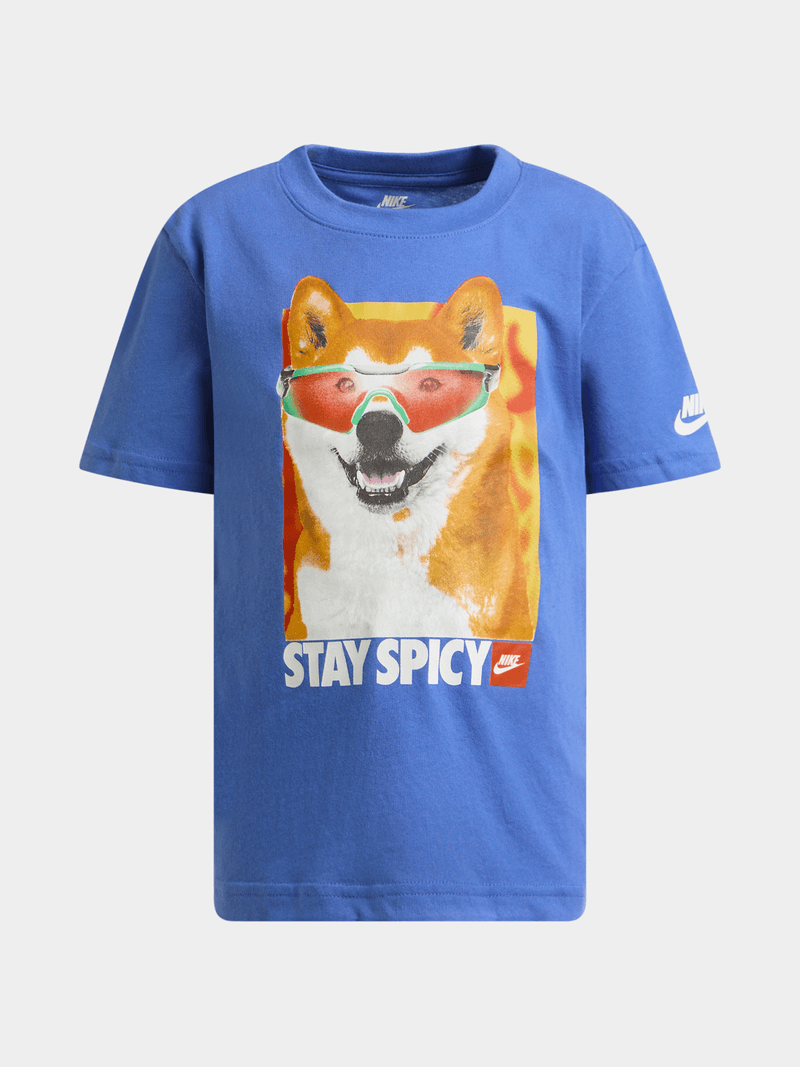 Nike Boys Stay Spicy T-Shirt In Blue