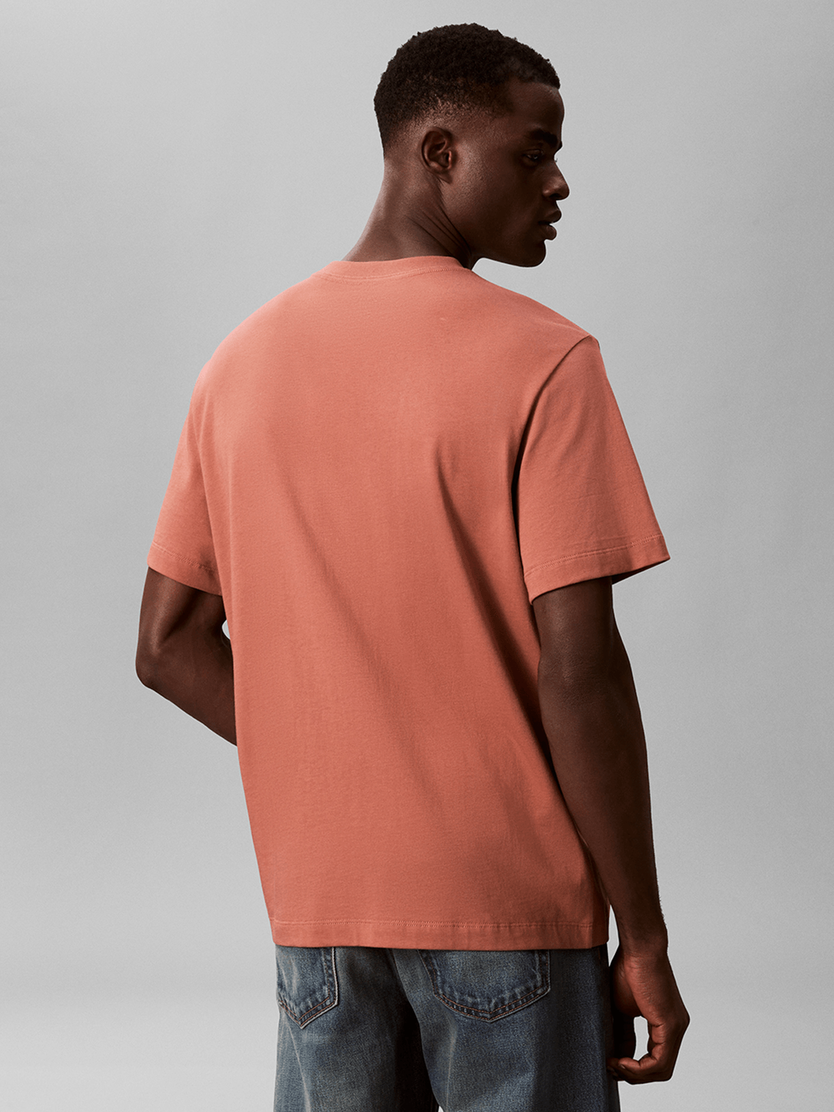 Calvin Klein Mens Calvin College T-Shirt In Brick