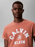 Calvin Klein Mens Calvin College T-Shirt In Brick