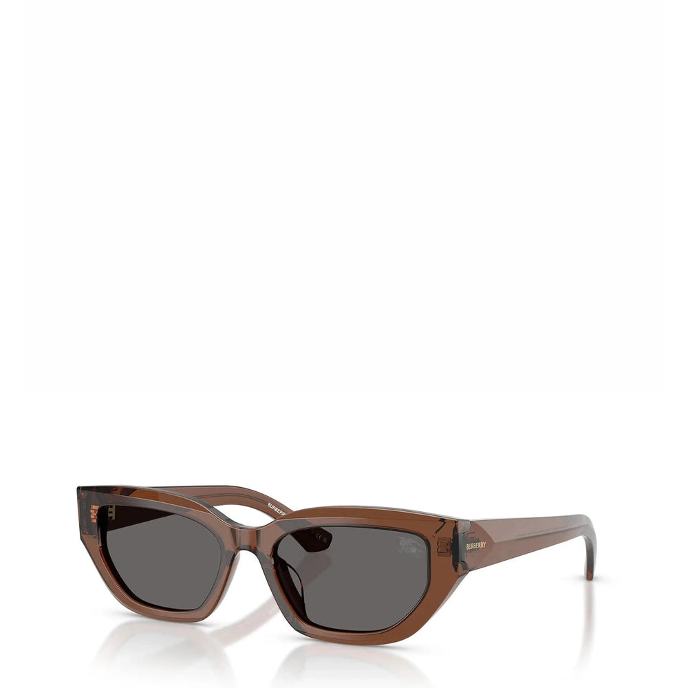 Burberry Womens Sunglasses In Dark Brown