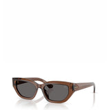Burberry Womens Sunglasses In Dark Brown