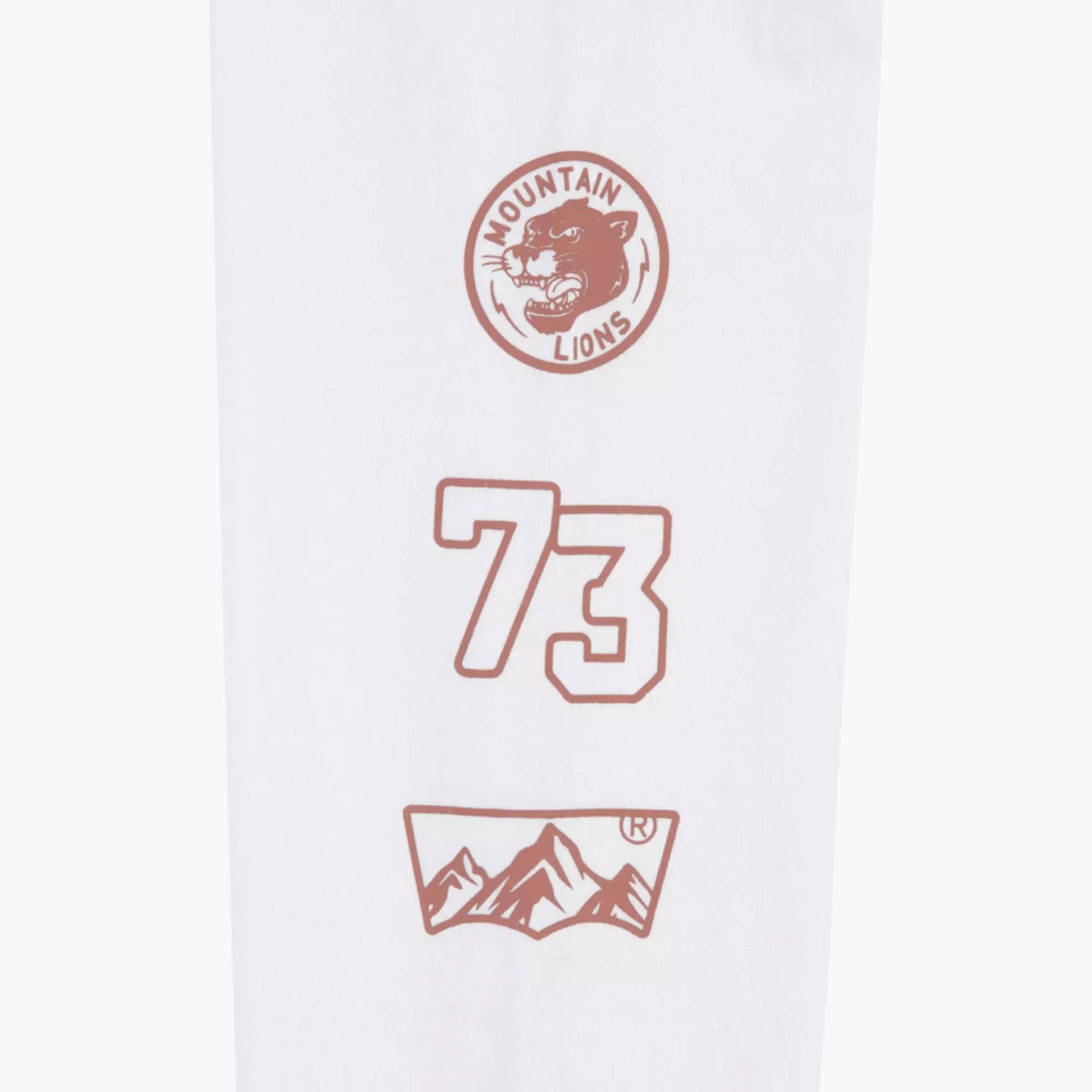 Levis Boys Academic Explorer T-Shirt In White