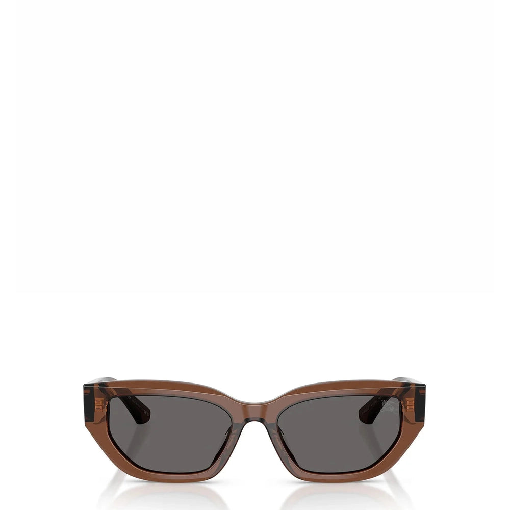 Burberry Womens Sunglasses In Dark Brown