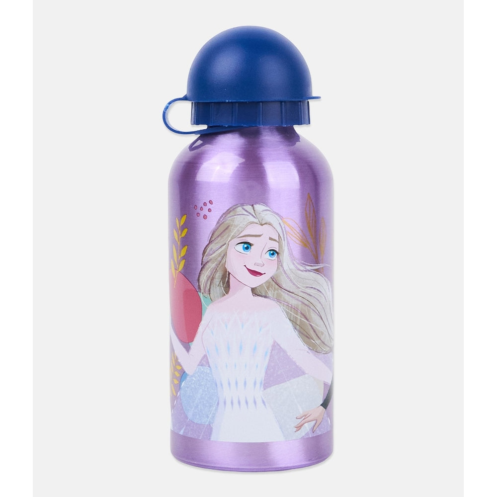 Frozen Aluminium Bottle In Purple