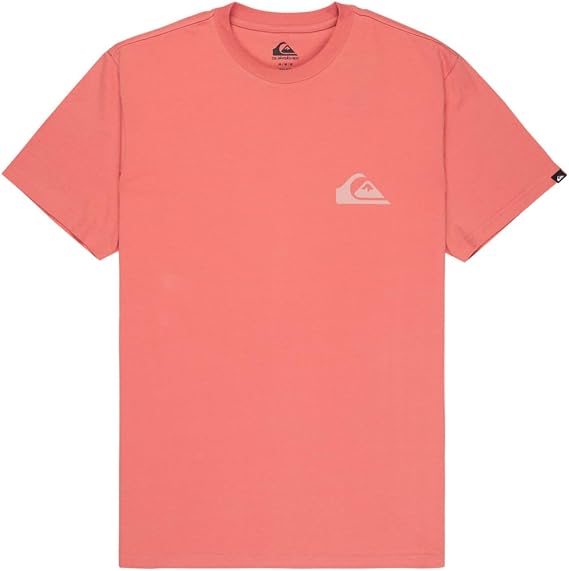 Quiksilver Mens Corp Logo Mini T-Shirt In Red