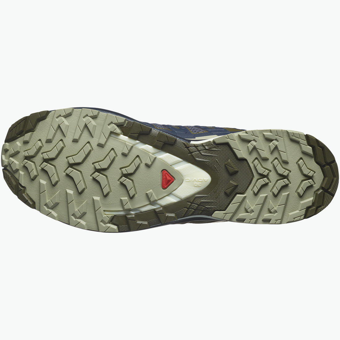Salomon Mens XA Pro 3D V9 Shoes In India Ink/Olive Night/Aloe Wash