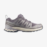 Salomon Mens XA Pro 3D V9 Asphalt Shoes In Grey