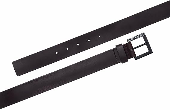 Replay Mens Am2670 Belt In Dark Brown