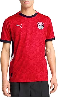 Puma 77713201 Mens Efa Home Jersey Replica Red