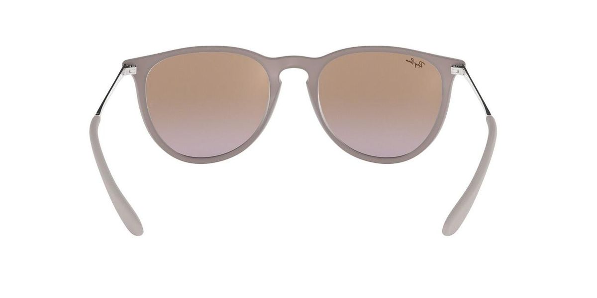 Ray-Ban Womens Erika Sunglasses In Sand/Brown