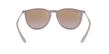 Ray-Ban Womens Erika Sunglasses In Sand/Brown