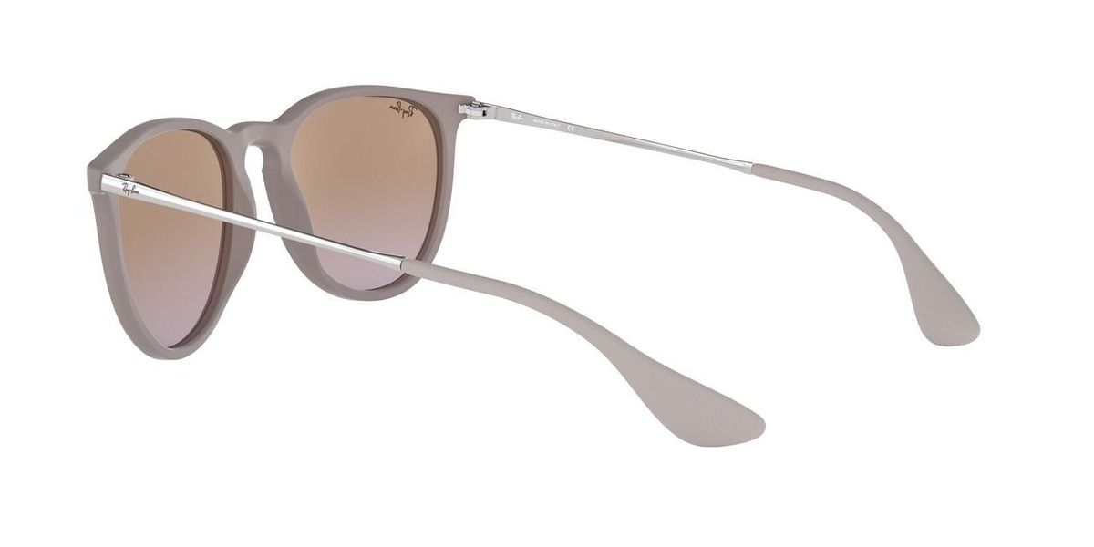 Ray-Ban Womens Erika Sunglasses In Sand/Brown