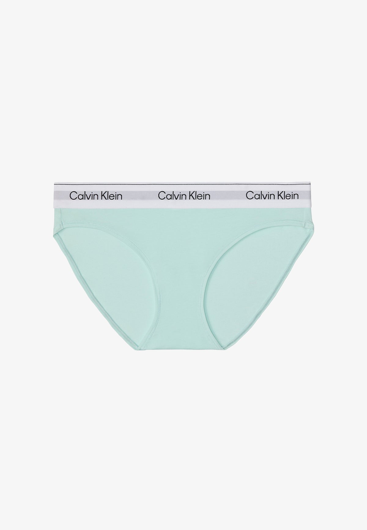 Calvin Klein Womens Bikini Brief In Turquoise