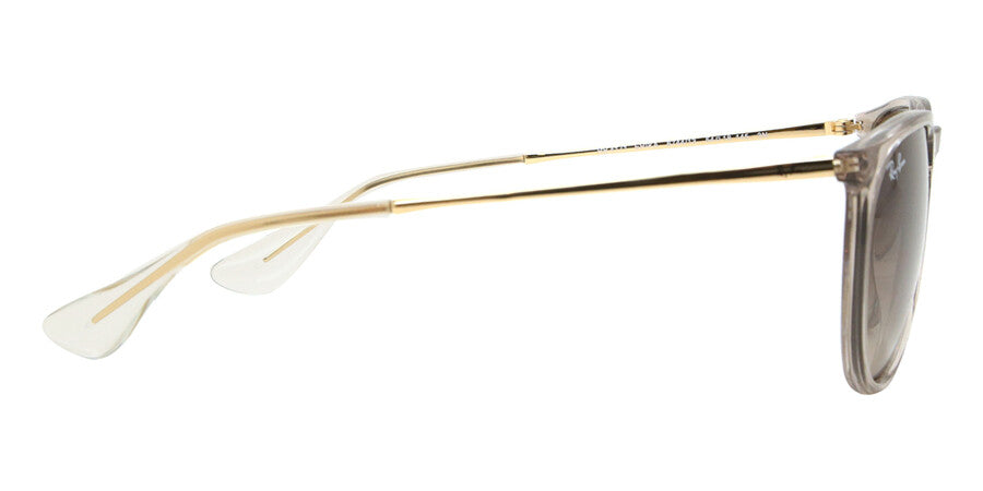 Ray-Ban Erika Circle Sunglasses In Transparent Light Brown