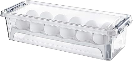 Hobby Life Grand Box 12 Pcs Egg Storage Box In Transparent White