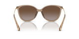Michael Kors Dupont Brown Sunglasses MK2184U