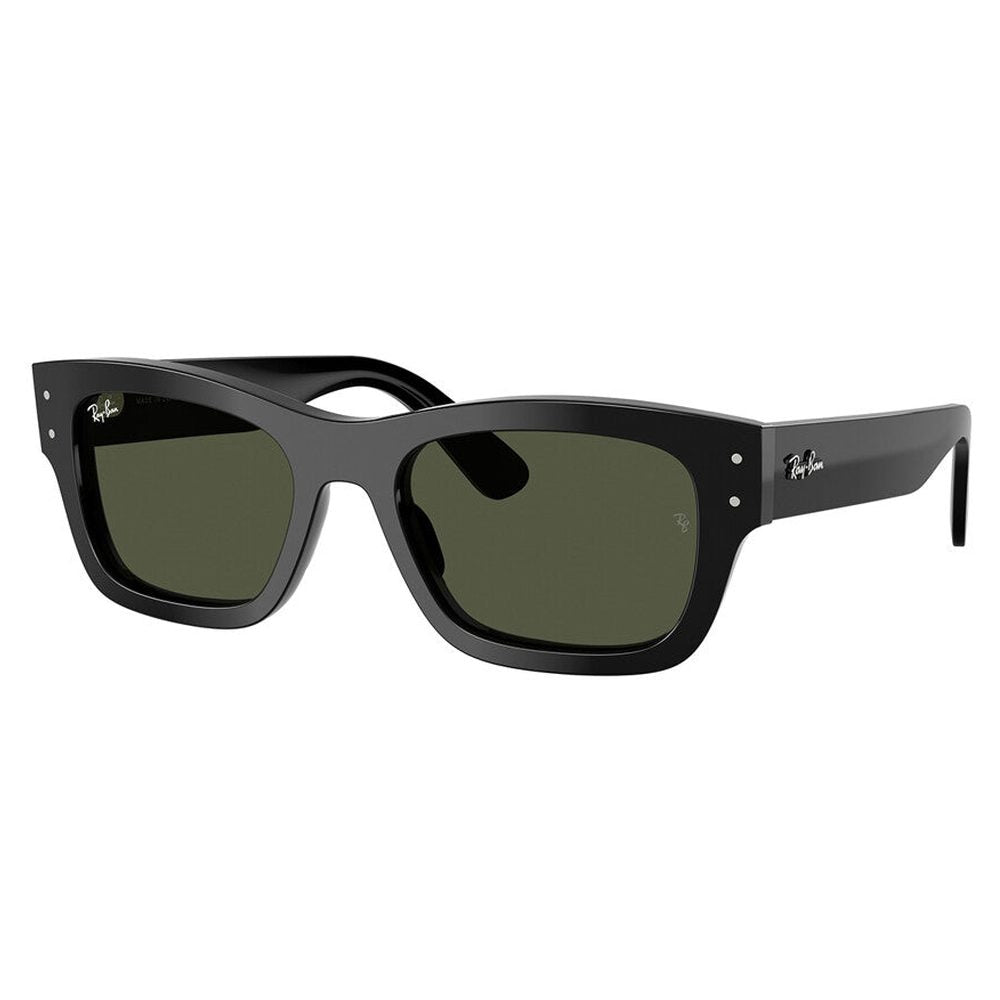 Ray-Ban Joseph Unisex Sunglasses In Black