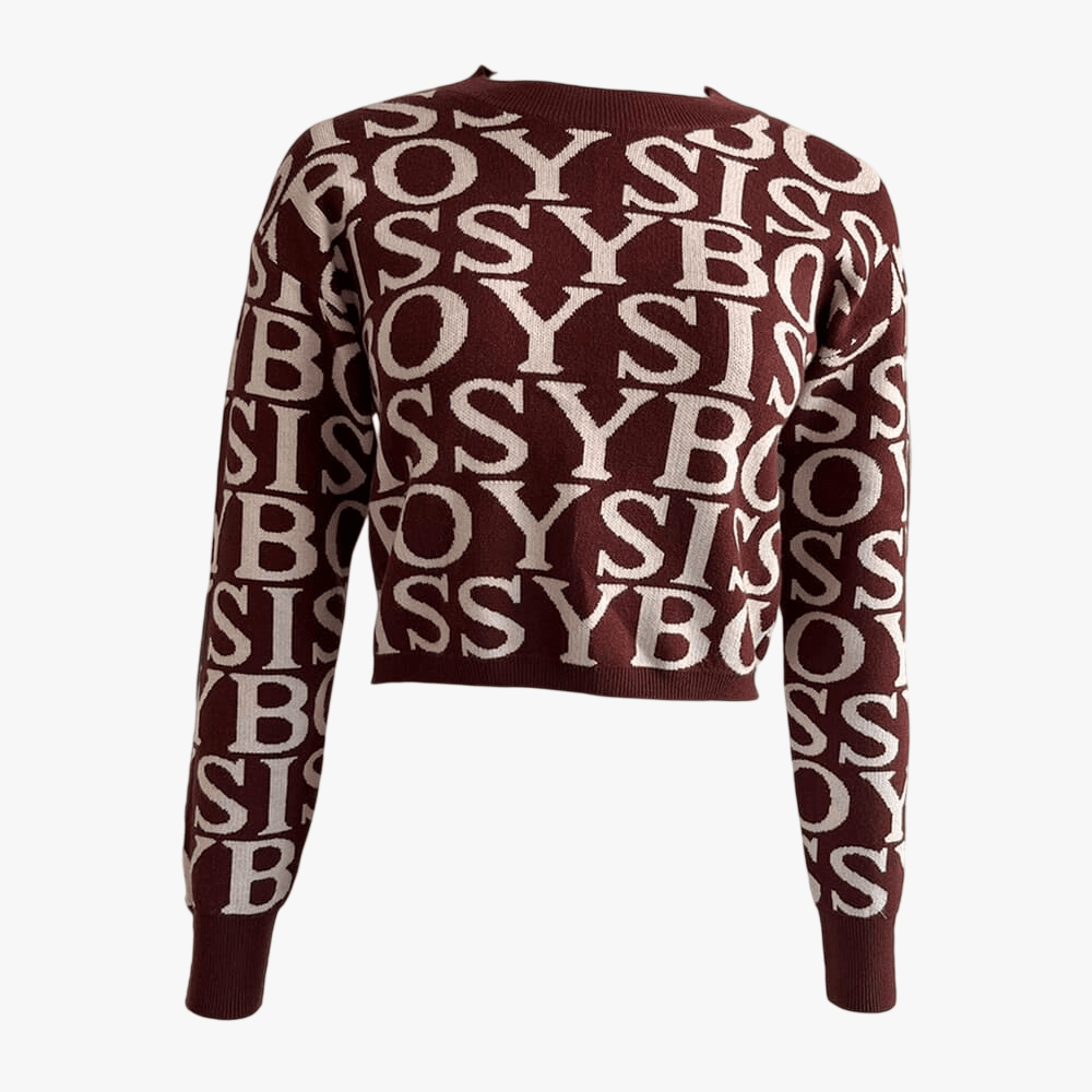 Sissy boy Womens Contrasted Logo Knit Sweater In Brown