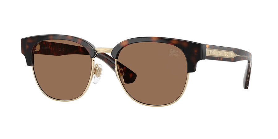 Burberry Browline Sunglasses In Dark Tortoise