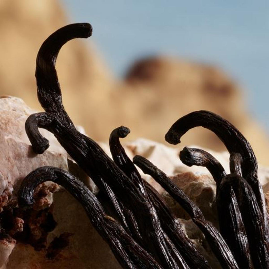 Dolce & Gabbana Q Fragrance Parfum For Women