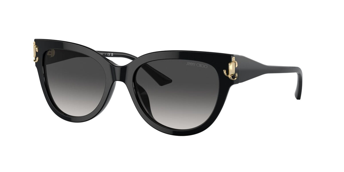 Jimmy Choo Womens Sunglasses In Black