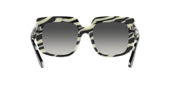 Dolce & Gabbana Black And White Sunglasses DG4414