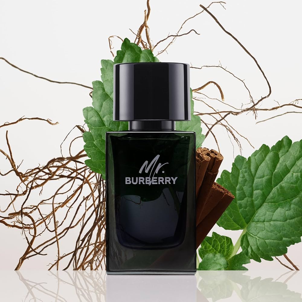 Burberry Mr. Burberry EDP