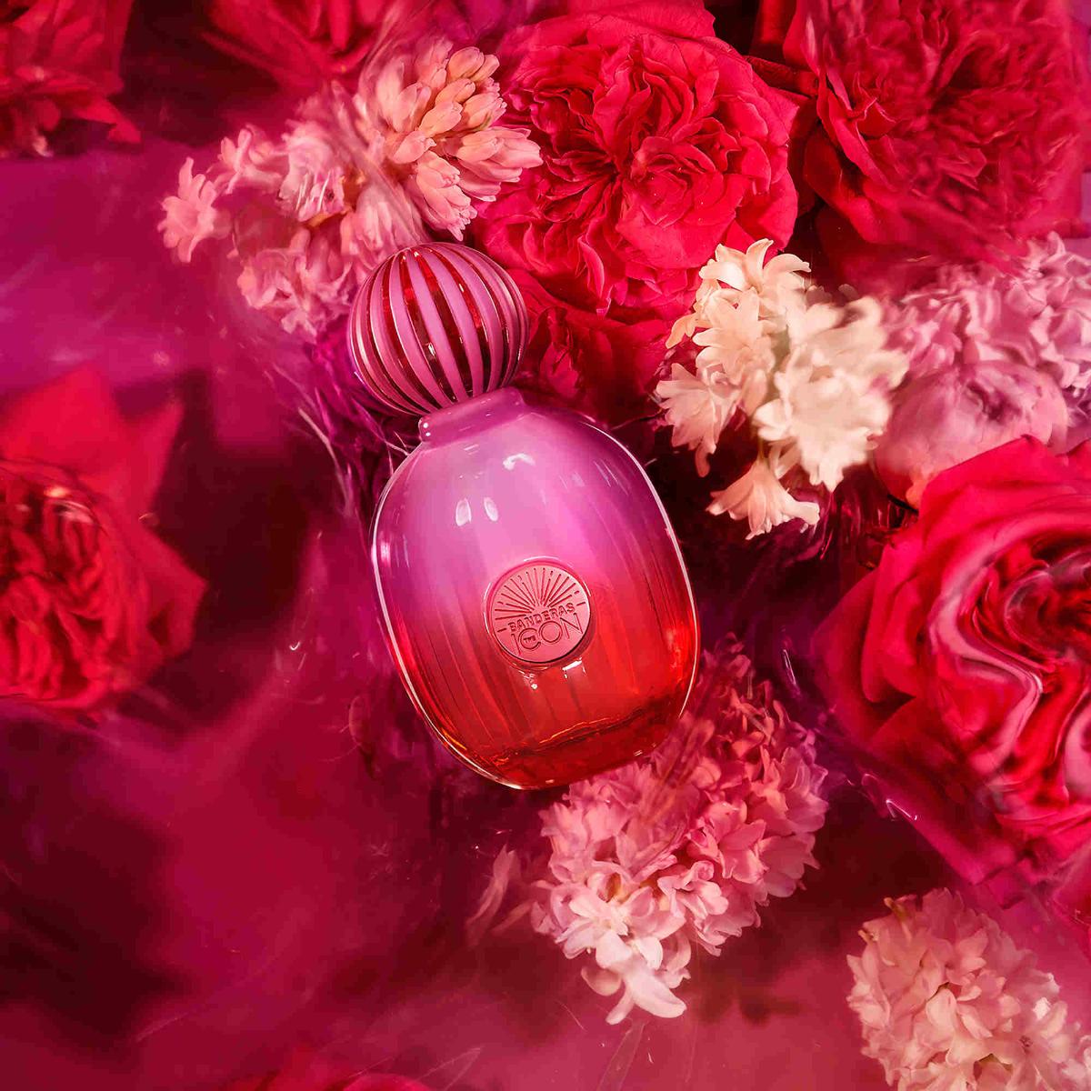 The Icon Supreme Banderas Fragrance EDP For Women