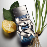 Michael Kors Pour Homme Edp