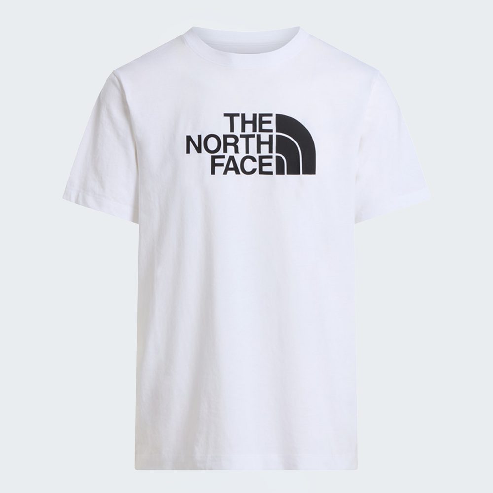 The North Face Mens Evolution Half Dome Regular Short Sleeve T-Shirt In White