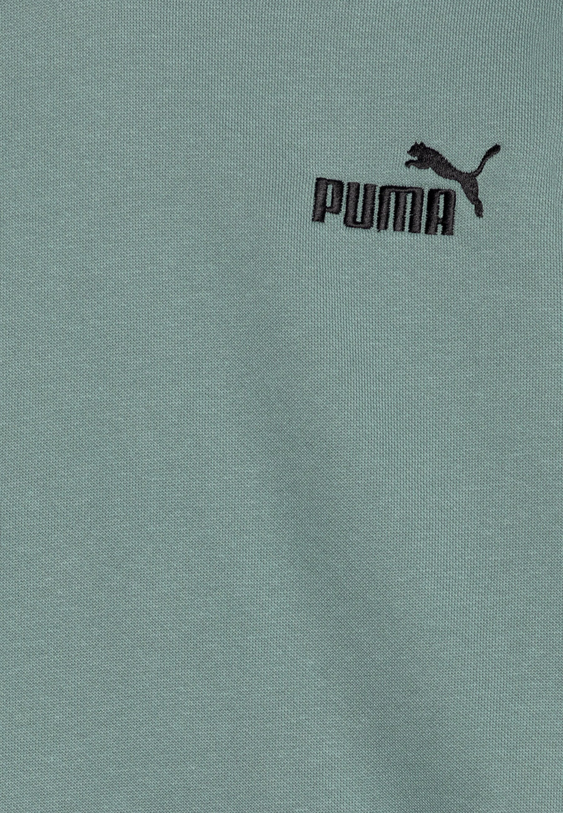 Puma  Unisex Essential Small No.1 Logo Hoodie
