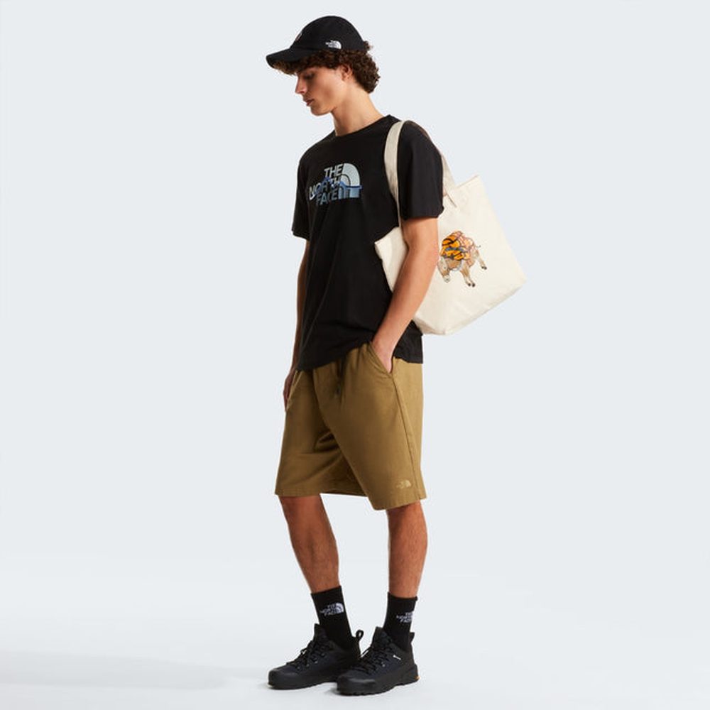 The North Face Mens Mountain Line T-Shirt In Black Multi