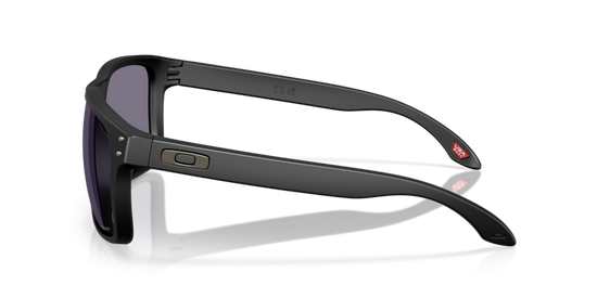 Oakley Holbrook XXL Mens Sunglasses In Matte Black
