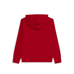 Jordan Boys Brooklyn French Terry Pull Over Hoodie In Red
