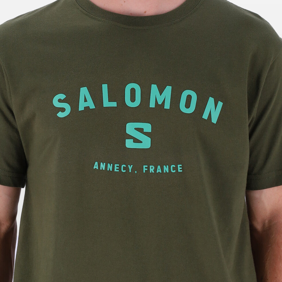 Salomon Mens Alpine Short Sleeves T-Shirts In Olive Night