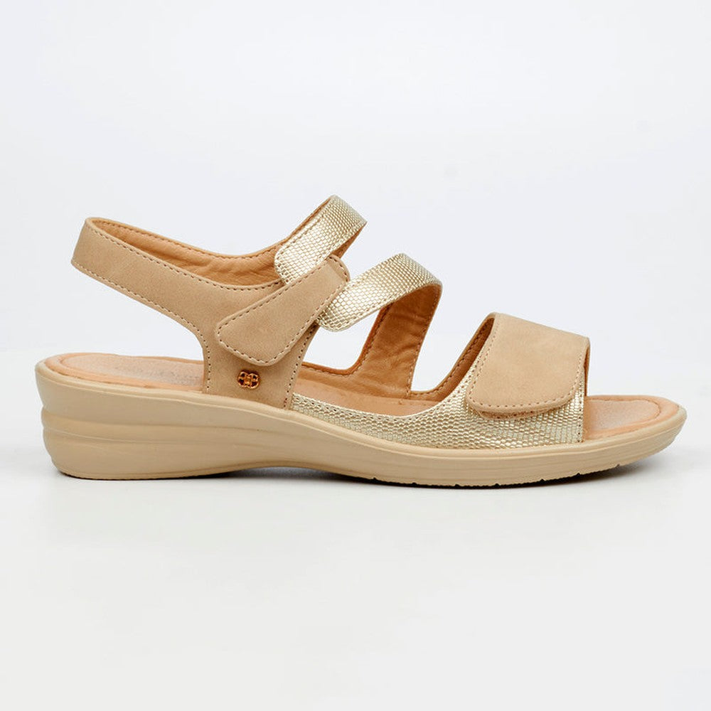 Butterfly Feet Ladies Chrissy 4 Shoes In Champagne