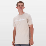 Salomon Mens Core Logo Short Sleeves T-Shirts In Pumice Stone