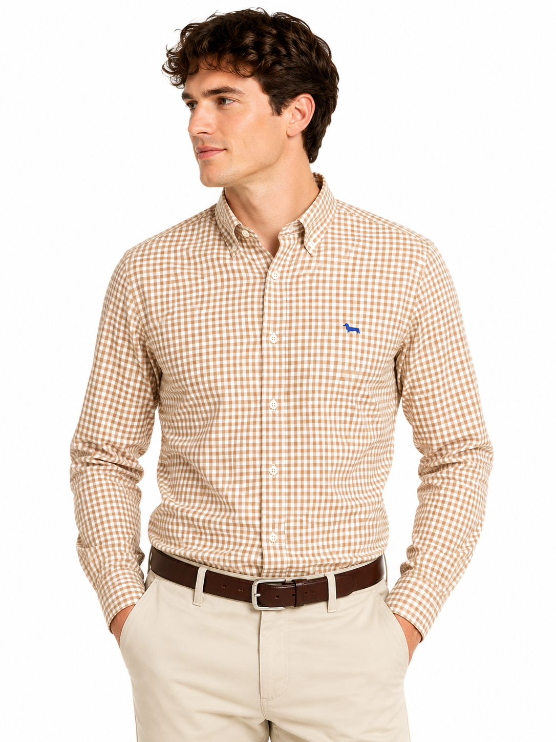 Harmont & Blaine Mens Basic Shirt In Brown & White