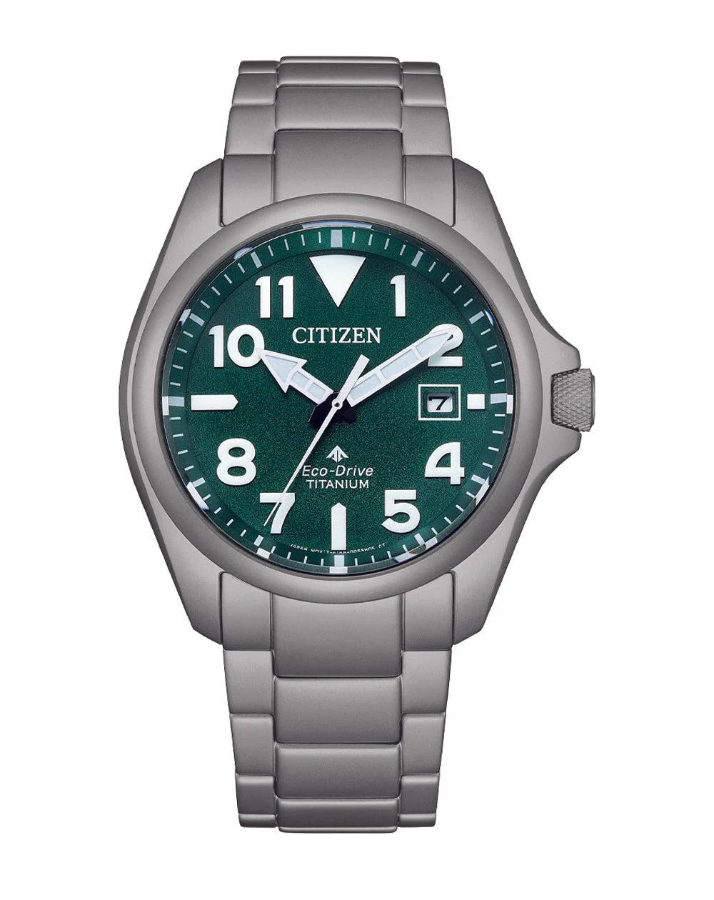 Citizen Promaster Gents Eco Drive Watch