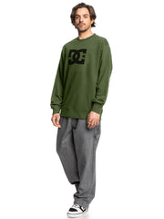 DC Mens Dc Star Crew Neck Sweatshirt In Green