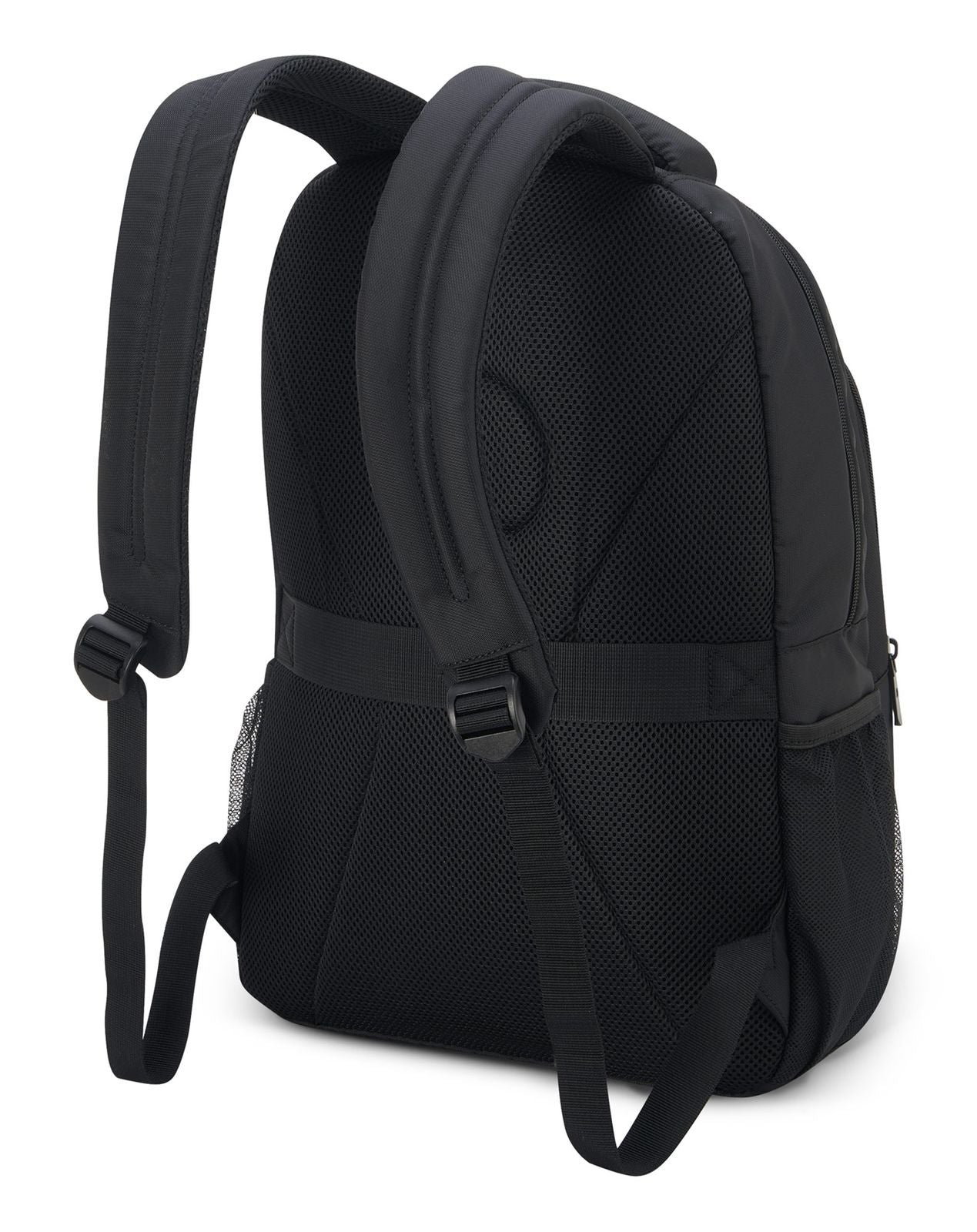 Delsey Paris Element Aviator Backpack In Black
