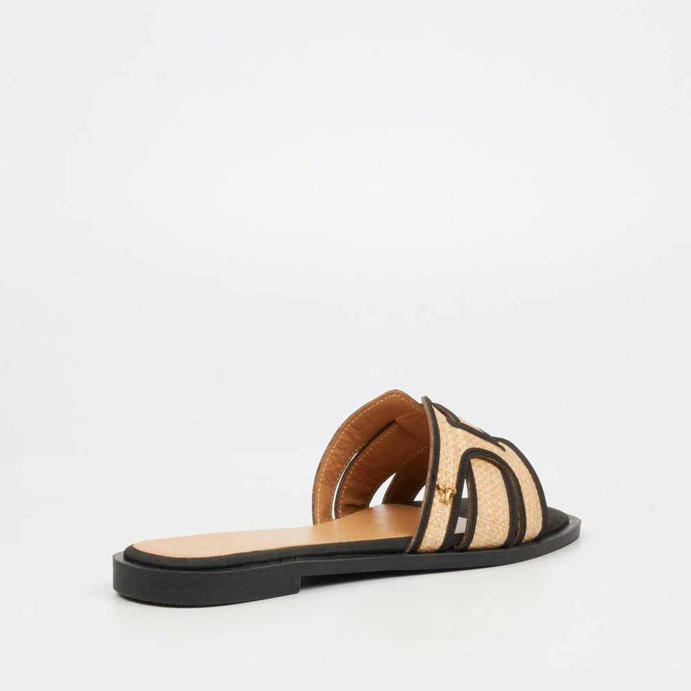 Butterfly Feet Womens Dorey 7 Shoes In Black