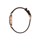 Daniel Klein Ladies Silver Dial Watch In Brown
